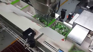 automatic box filling system