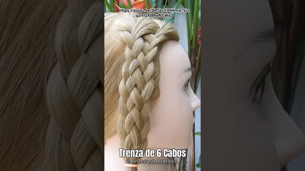 Trenza de 6 cabos👌🤩 #peinados #hairstyle #trenzas #parati