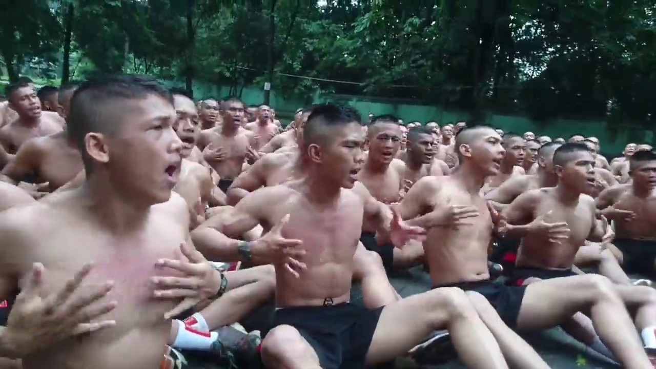 Melatih dalam jumlah yang besar adalah ciri khas King Sparko