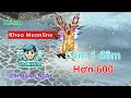 MG Lên 800 Phần 2 Mg Chiến - Muonline Season 20