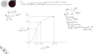 The oxygen-haemoglobin dissociation curve - Primary FRCA Anaesthetics Revision