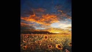 Стихи #стихи #поэзия #музыка #music #poems music: Portico Quartet - Captured Time
