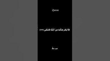 #راحة_نفسية  #اكتب_شي_تؤجر_عليه  كرومات قران شاشة سوداء فارس عباد |سورة طه #quran  #فارس_عباد