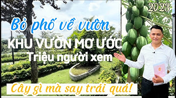 Bán nhà Bình Chánh | Nhà Vườn đẹp Bình Chánh 5km sân vườn đẹp mêhồn 1000m2 thổ cư nghỉ dưỡng đúg bài