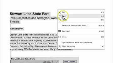 Drupal - Copy/Paste Text