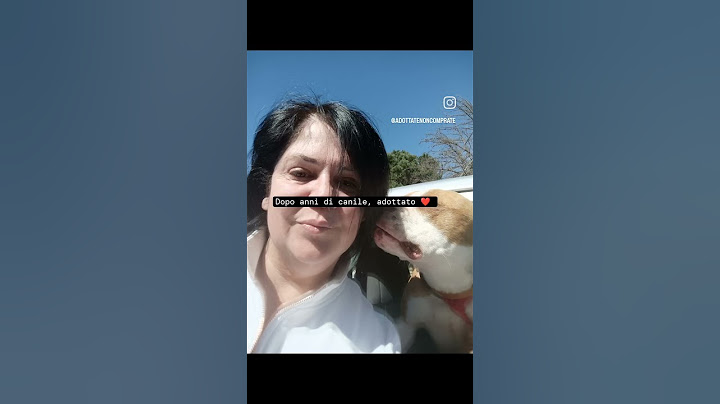 Rocco, stupendo pit, adottato da una famiglia speciale. Dopo un arrivo video con la famiglia..