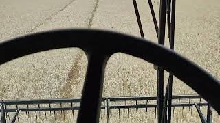 TX5.90: desempenho da colheitadeira na cultura do trigo (Repost do canal antigo)