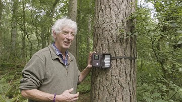 Introduction to Squirrels 3: Monitoring Squirrels