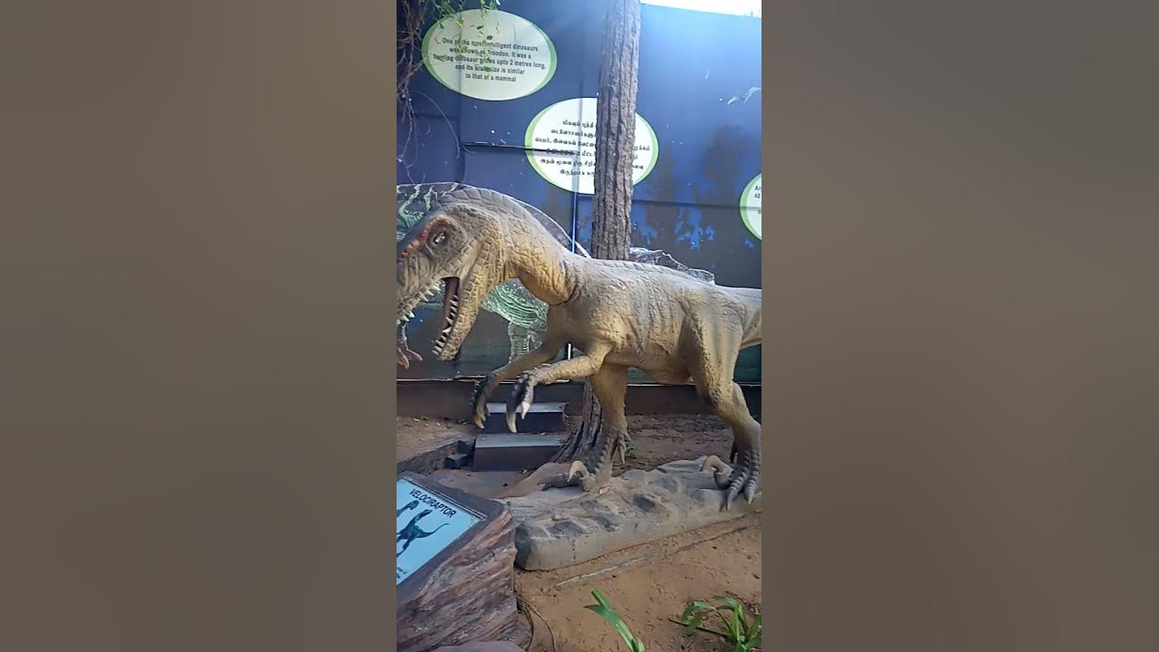 Dinosaur Park Mahabalipuram YouTube dinosaur-park-mahabalipuram-youtube