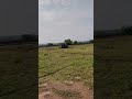 #viral #viralvideos #viralvideo #viralshorts #trending #trendingshorts