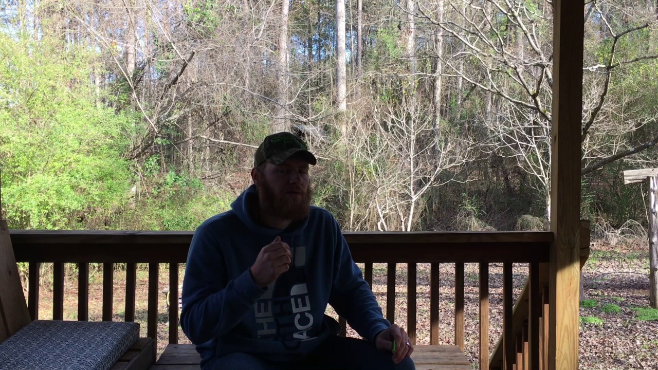 Turkey Calling Purring