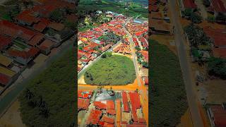 World Largest Cashew Tree Is Huuuge