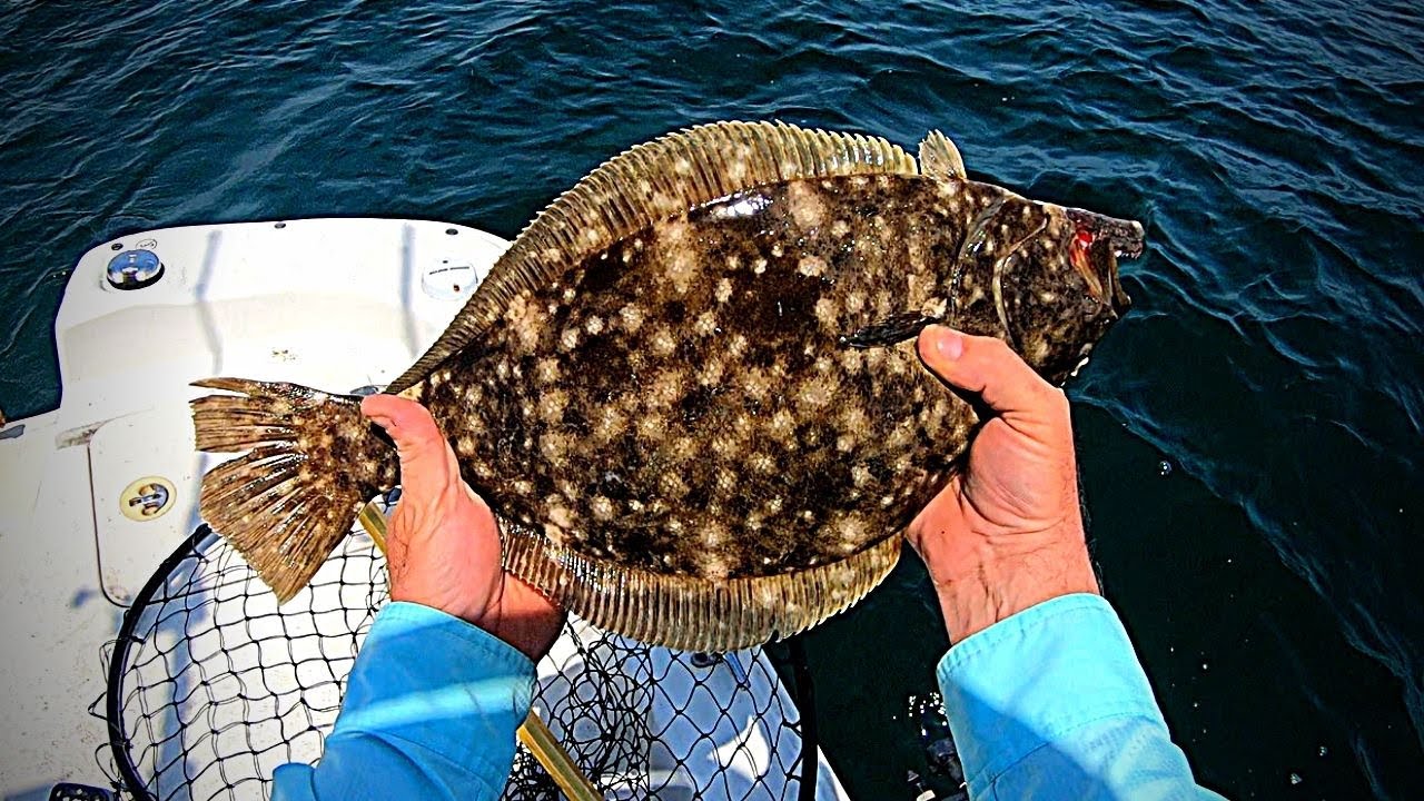 Spring Ocean Flounder Fishing Off Oak Island, NC YouTube