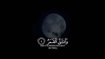 حالات واتس اب قران بصوت مشاري العفاسي 💜🍃 تلاوة خاشعة ❤