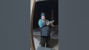 Delivery driver licks cat 😺😺😺