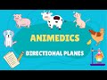 DIRECTIONAL PLANES