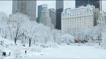 Noise monitoring by 01dB