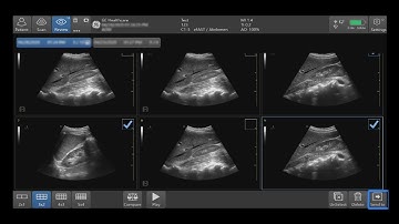Venue Family Tutorials: Image Management