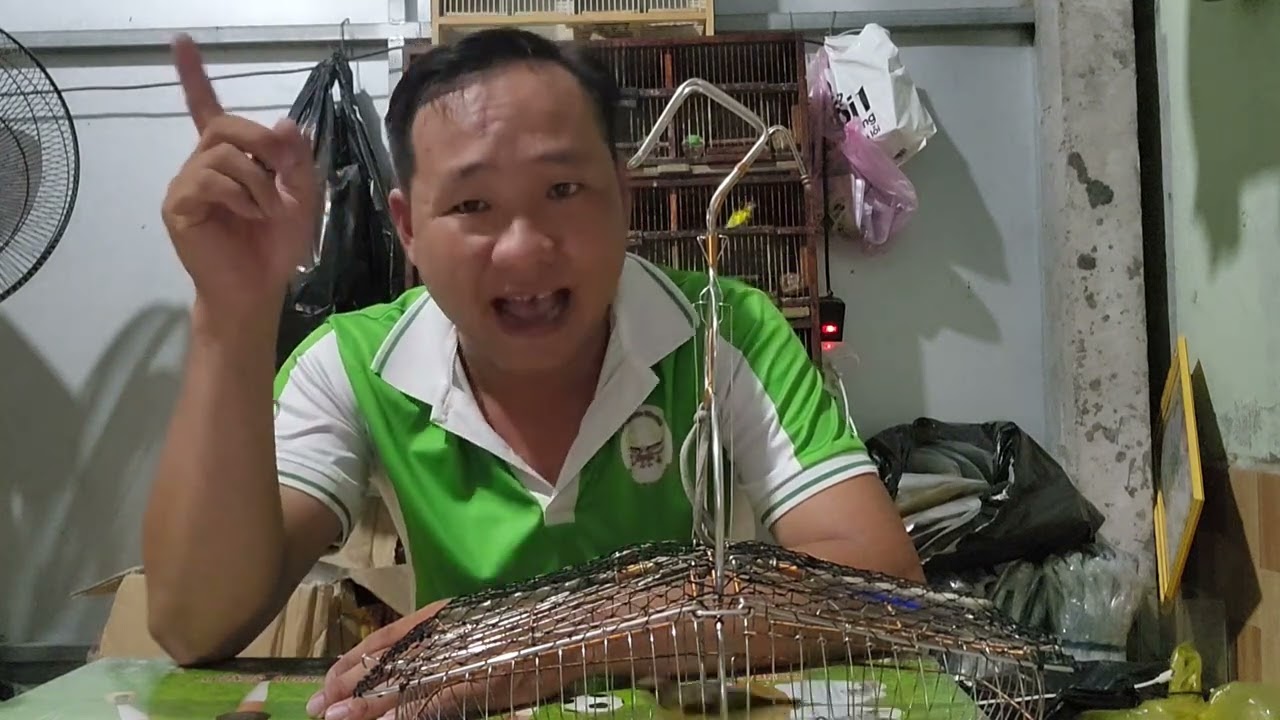 hút mật miền tây 66# chia sẻ  cách  tập chim mồi ra rừng  là  chơi  đơn giản zalo 0365157058