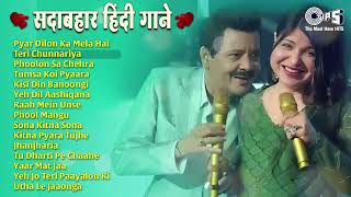 Sadabahar Hindi Gaane 🎶 Audio Jukebox ✨ Old 90's Songs ❤️ Udit Narayan, Alka Yagnik & Kumar Sanu 🔥