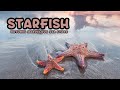 Starfish Kids Educational Video 
