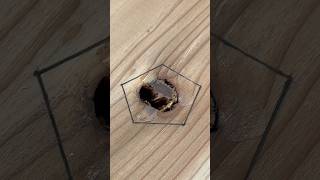 A pentagon. Perfect, right? #shorts #woodworking #diy