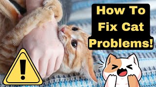 10 Common Cat Problems (And Solutions)