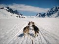 Dog Sledding on the Juneau Icefield