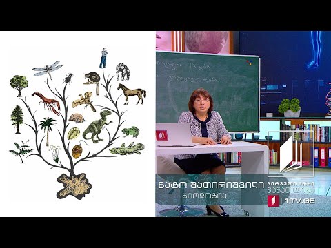 ბიოლოგია, IX კლასი - ევოლუციური თეორია #ტელესკოლა