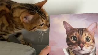 FURRYROYAL pet portraits by Henry the Bengal 4,247 views 1 year ago 2 minutes, 15 seconds