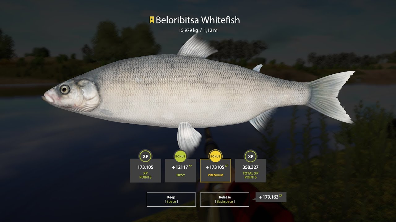 RF4 - Trophy Beloribitsa - 15,979kg