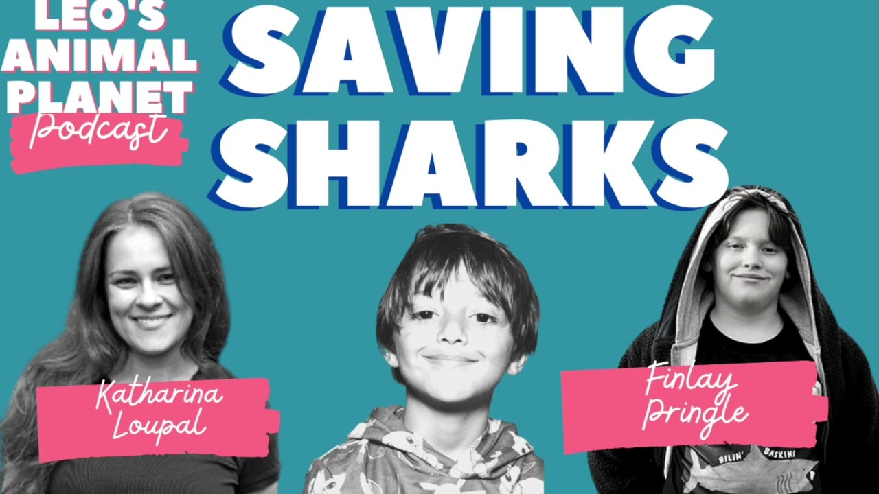 Leo's Animal Planet - Saving sharks with Finlay Pringle and Stop Finning EU