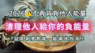 Download Lagu 【2026 純淨進場】⚠️ 清理他人給的負能量🍃 不再背負他人的能量與業力！🌟鼠尾草強效淨化潛意識！隔斷他人的情绪 · 焦虑 · 投射！ #淨化磁場 #淨化 #去除負能量 #情緒釋放 #2026能量 MP3