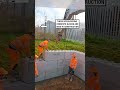 Real life lego blocks 🧱😲              🎥: TikTok / wotmix
