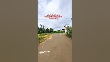 Cây thông cô đơn #bdsbietthudalat