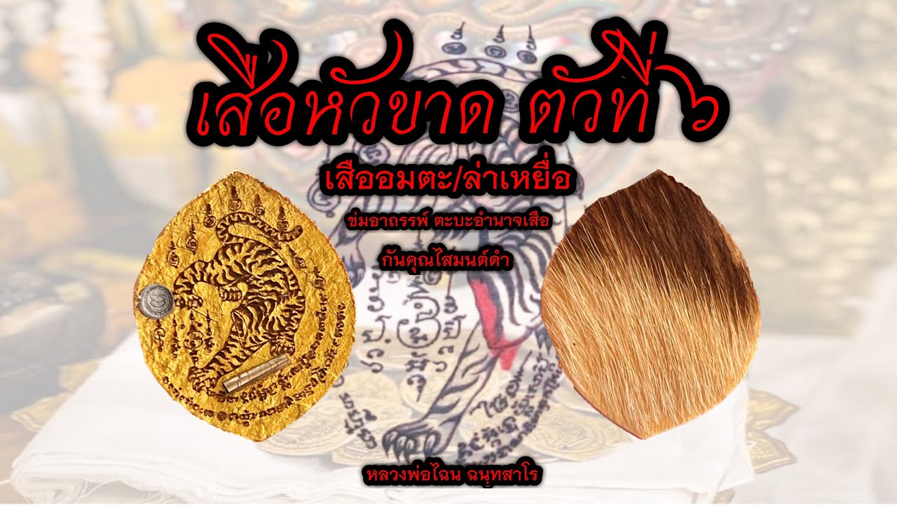 Ep78. หยดน้ำ เสือหัวขาดตัวที่๖ เสืออมตะ/ล่าเหยื่อ