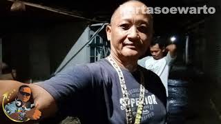 TARIAN LARON & SI PEMBURU TOKEK | 2021