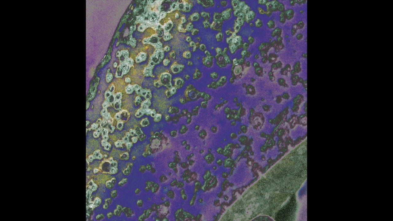 Troy - Omen [KSR010]