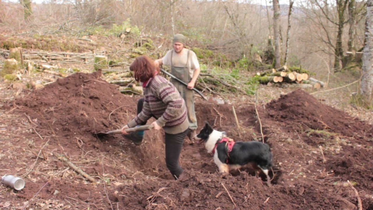 Underground Greenhouse Build