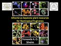 Miconia as a keystone resource for Neotropical frugivores (Dr. Fernando A. O. Silveira)