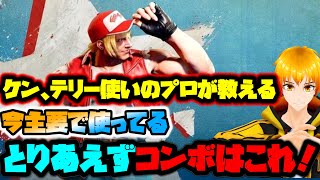 パワーダンク後の3種類の有利フレームと、テリーのシミー|画面端で下がれる状況の作り方