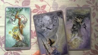 Tarot Reading 17 May 2014