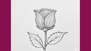 Easy Rose flower drawing//Rose drawing//Sketch