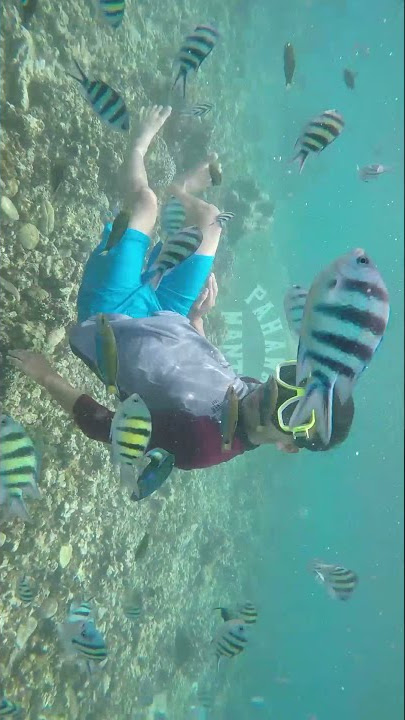 Pulau Pahawang 🏝️, Trip Lampung