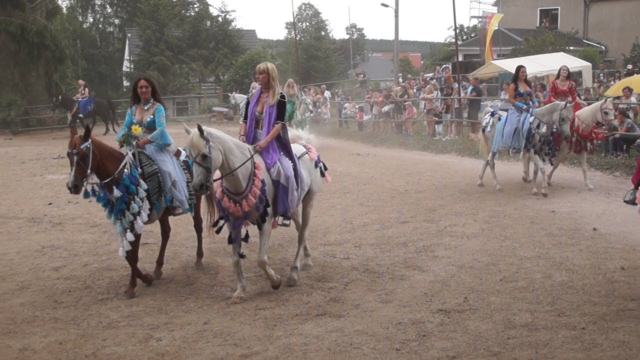 Ein Hauch von Arabien im Vogtland mit rassigen Vierbeinern