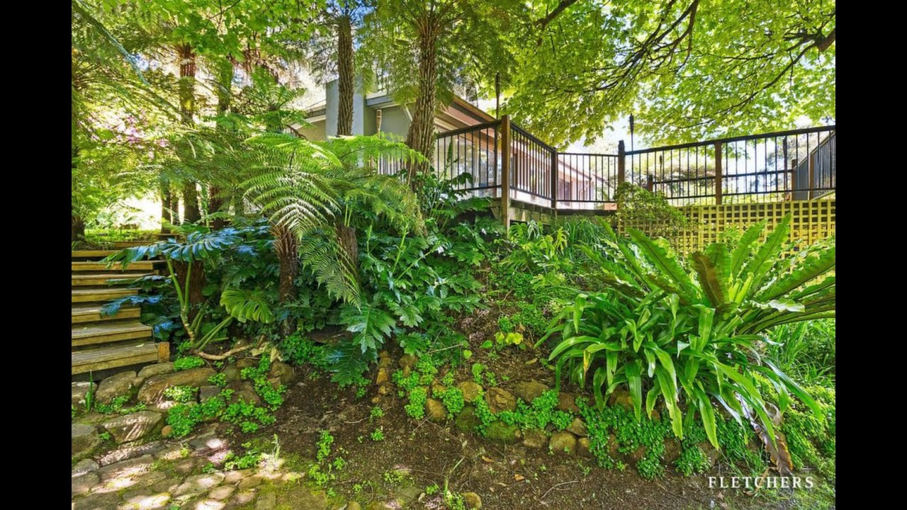 Flethcers - 34-36 Woodhurst Grove, Kalorama - Scott Allison