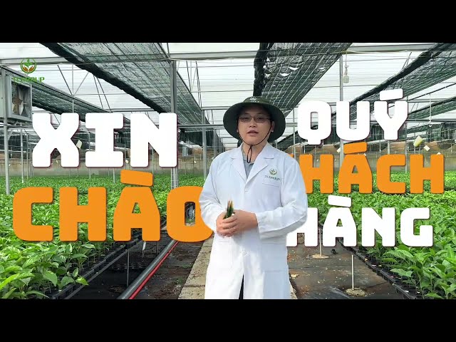 TẬN MẮT KHUI THÙNG - SĂN VÀNG 9999 CÙNG TOÀN CẦU!