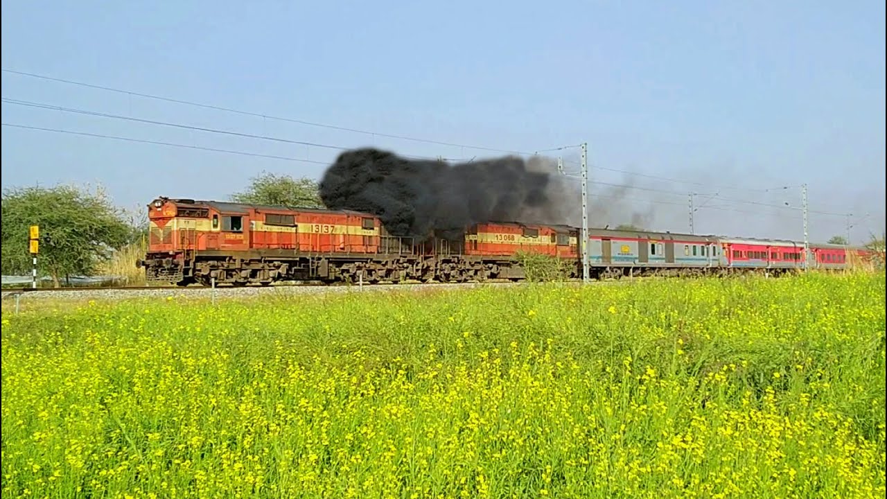 Ultimate Chugging and Smoking by ALCo Twins Rushing Through the Mustard Fields | Indian Railways