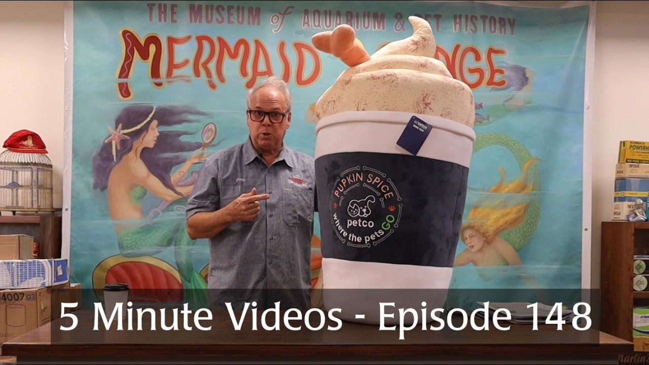 5 Minute Videos - Episode 148