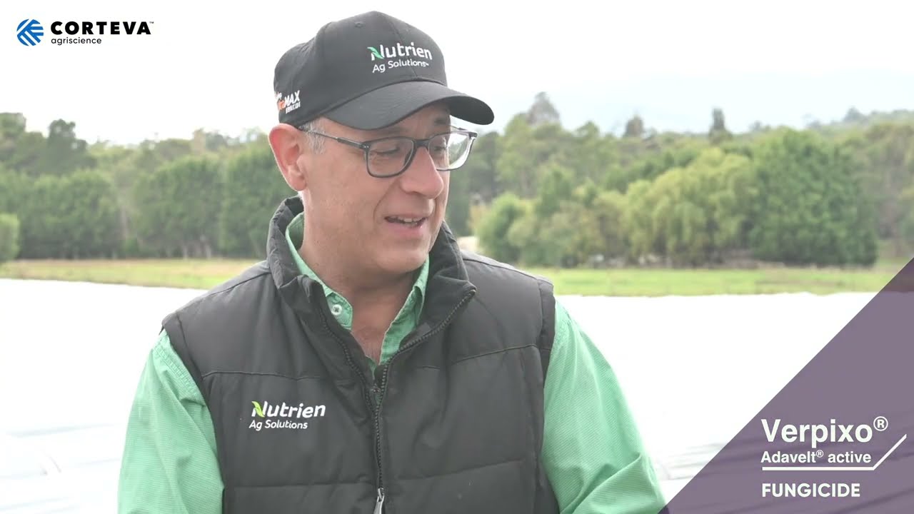 Nutrien's John Frisina on Verpixo Adavelt active in Strawberries